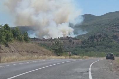 Domaniç’te tarlada başlayan yangın ormana sıçradı