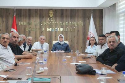 Düzce’de fındık rekolte tahmin çalışmaları değerlendirildi
