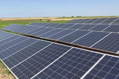 Edirne’de üreticiler tarlasını dronla ilaçlıyor, güneş enerjisiyle suluyor