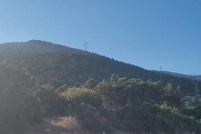 Eğirdir’deki orman yangını kontrol altına alındı: 10 hektar alan zarar gördü