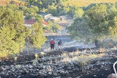 Elazığ’da arazi yangını