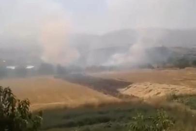 Elazığ’da otluk alanda yangın