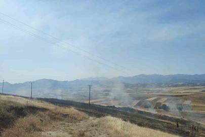 Elazığ’daki yangında 40 dönümlük arpa küle döndü