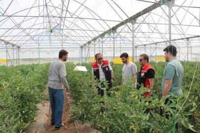 Erzincan’da seracılık faaliyetleri yerinde incelendi