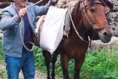 Erzurum’da acı olay: Psikolojik tedavi gören şahıs derede can verdi