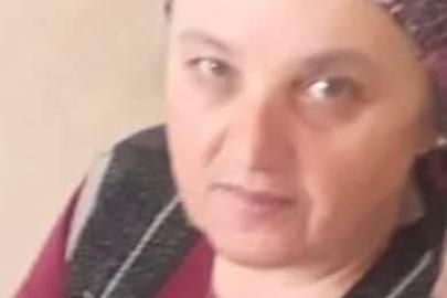 Eşek arısı sokan kadın hayatını kaybetti