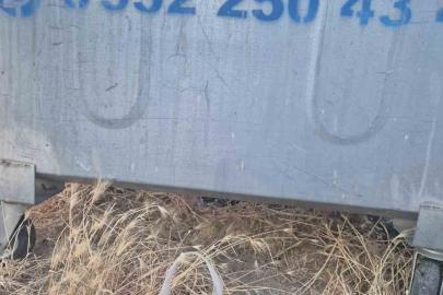 Eskişehir’de kan donduran olay: Yavru kedinin ağzını bantlayıp poşetle çöpe attılar