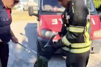 Evin bahçesine giren yılan itfaiye ekiplerini peşinden koşturdu