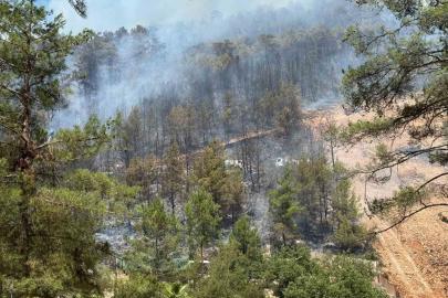 Fethiye’de orman yangınını söndürme çalışmaları sürüyor