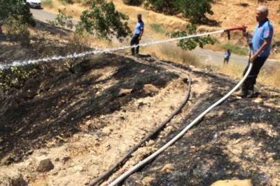 Fıstık tarlasındaki yangına müdahale ederken hayatını kaybetti
