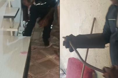 Hakkari’de eve giren yılan paniğe neden oldu