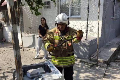 Hassa ve Erzin’de yerleşim alanlarına giren yılanları itfaiye yakaladı