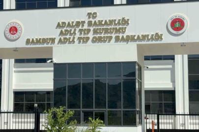 Ihlamur ağacından düşen yaşlı adam hayatını kaybetti