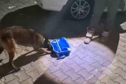 İstanbul’dan Ankara’ya uyuşturucu sevkiyatı Sakarya’da engellendi: 2 tutuklama