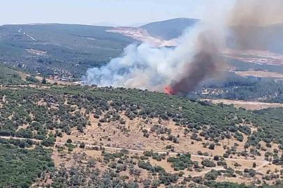 İzmir’de orman yangınına havadan ve karadan müdahale