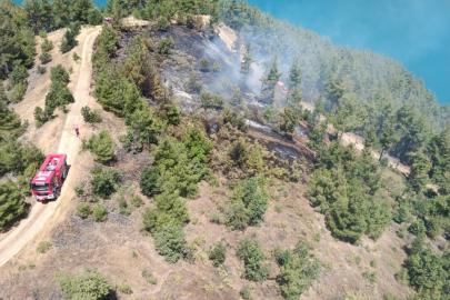Kahramanmaraş’ta orman yangını