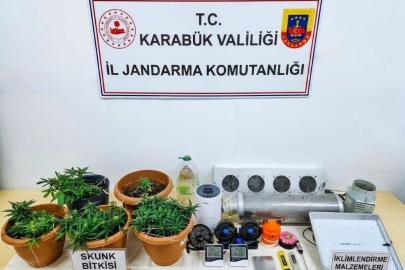 Karabük’te uyuşturucu operasyonu: Skunk serası ortaya çıkarıldı