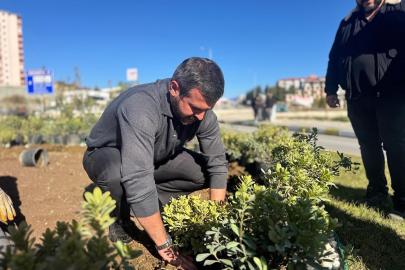 Karabük’te yeşil alanlar 18 binden fazla fidanla güçleniyor