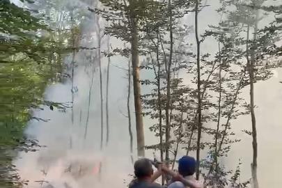 Karacabey’de orman yangını