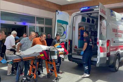 Karaman’da köpek dehşeti: 3 yaşındaki çocuk ağır yaralandı