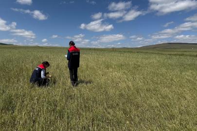 Kars’ta doğal afet sonrası seferberlik: Tarım ekipleri hasar tespiti için sahada