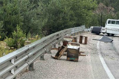 Kastamonu’da kamyonet bariyerlere çarptı: Etrafa saçılan kovandaki arılar telef oldu