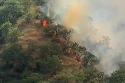 Kastamonu’da orman yangınında 40 dönümlük alan zarar gördü