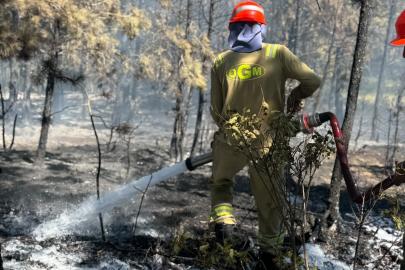 Kastamonu’daki orman yangını söndürüldü