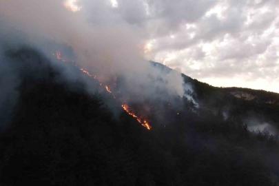 Kastamonu’daki orman yangınına müdahale sürüyor