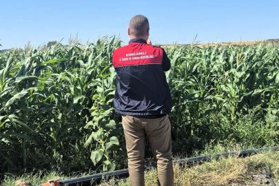 Kırklareli’de tarım arazileri tek tek kontrol ediliyor