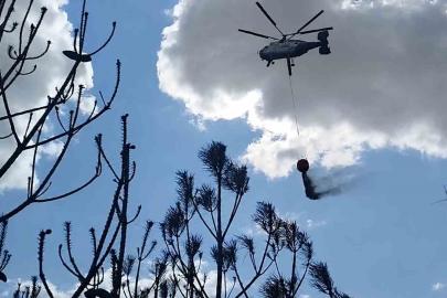 Kırklareli’deki orman yangını söndürüldü: 35 dekar alan zarar gördü
