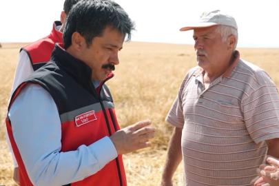 Kırşehir’de arpa ve buğdayda hasat başladı