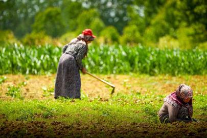 Kocaeli’de tarım ve hayvancılığa 7 yılda 1,5 milyar lirayı aşkın destek sağlandı