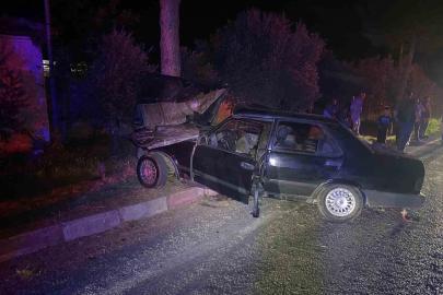 Köpeğe çarpmamak için ağaca çarpan sürücü hayatını kaybettti