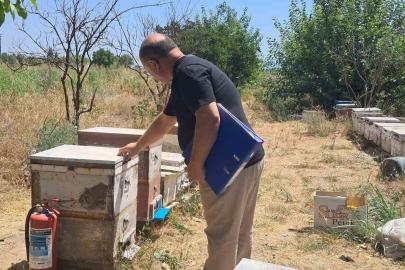 Köşk’te arılı kovan tespit çalışmaları sürüyor