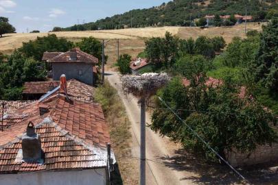 Kütahya’da leylekler bu köyün maskotu oldu