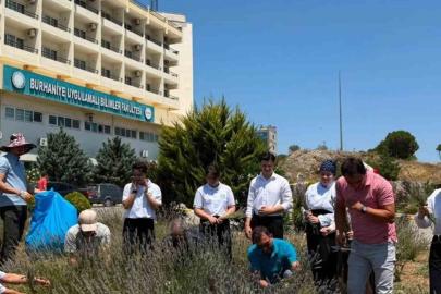 Lavanta kokulu okulda hasat heyecanı yaşandı