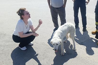 Mahsur kalan köpeğin sesini sadece o duydu, kurtarıldığında gözyaşlarına boğuldu