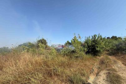 Manavgat’ta kamışlık alanda çıkan yangın söndürüldü