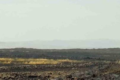 Mardin’de çıkan anız yangını söndürüldü