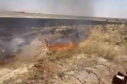 Mardin’de çıkan anız yangınına müdahale ediliyor