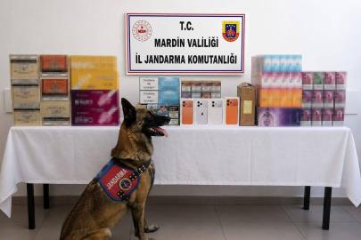 Mardin’de kaçak tütün operasyonunda 2 gözaltı