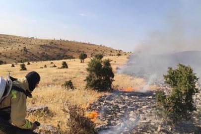 Mardin’de örtü ve anız yangını söndürüldü