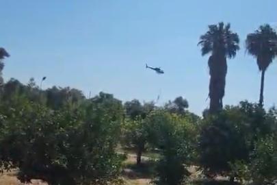 Marmaris’te zirai alan yangını kontrol altında