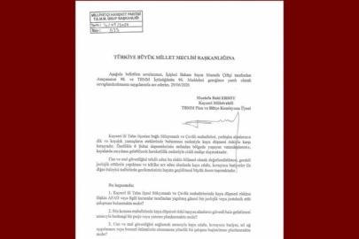 MHP’li Ersoy, 2 mahalledeki kaya düşmesi riskini meclise taşıdı