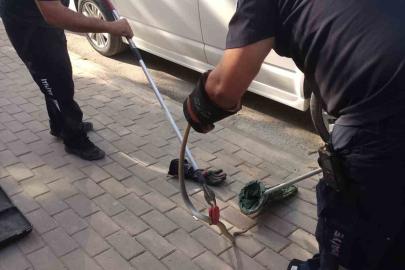 Minibüsün motoruna giren yılan itfaiye ekiplerini harekete geçirdi