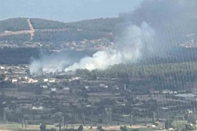 Muğla Menteşe’de orman yangını