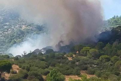 Muğla’da orman yangını