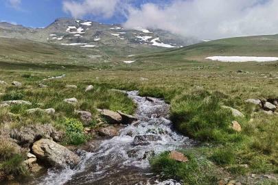 Ordu’nun yaylalarında yaz güzelliği