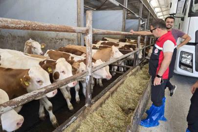 Orhaneli’de hayvan yetiştiren işletmeler kontrol edildi